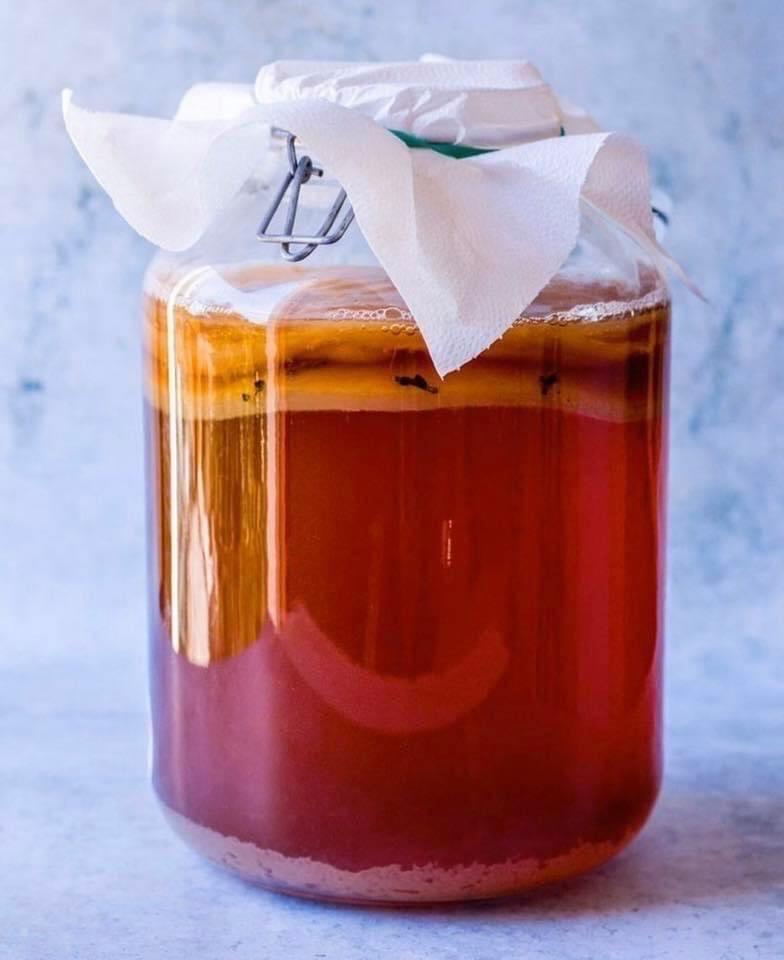 SCOBY Kombucha -duoc-ban-tai-Dziễm Hương - Tiệm tạp hoá giấc mơ