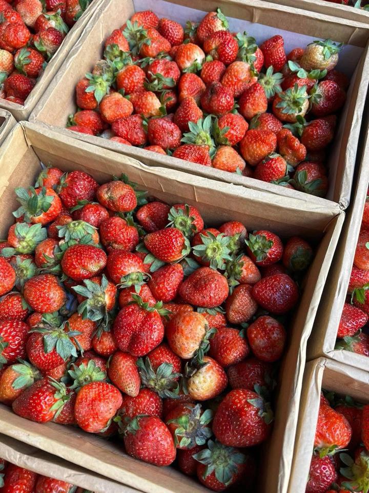 Mứt dâu tây 🍓 -duoc-ban-tai-Dziễm Hương - Tiệm tạp hoá giấc mơ