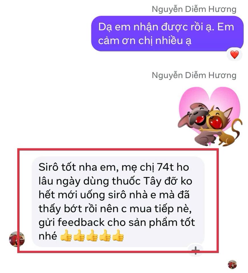 Siro ho -duoc-ban-tai-Dziễm Hương - Tiệm tạp hoá giấc mơ