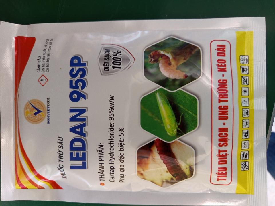 Thuốc trừ sâu LEDAN 95SP ( Ung trứng rầy xanh...)-duoc-ban-tai-ĐẠI LÝ VTNN ĐÌNH THANH