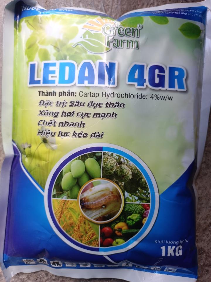 Thuốc trừ sâu LEDAN 4GR ( Đặc trị sâu đục thân)-duoc-ban-tai-ĐẠI LÝ VTNN ĐÌNH THANH