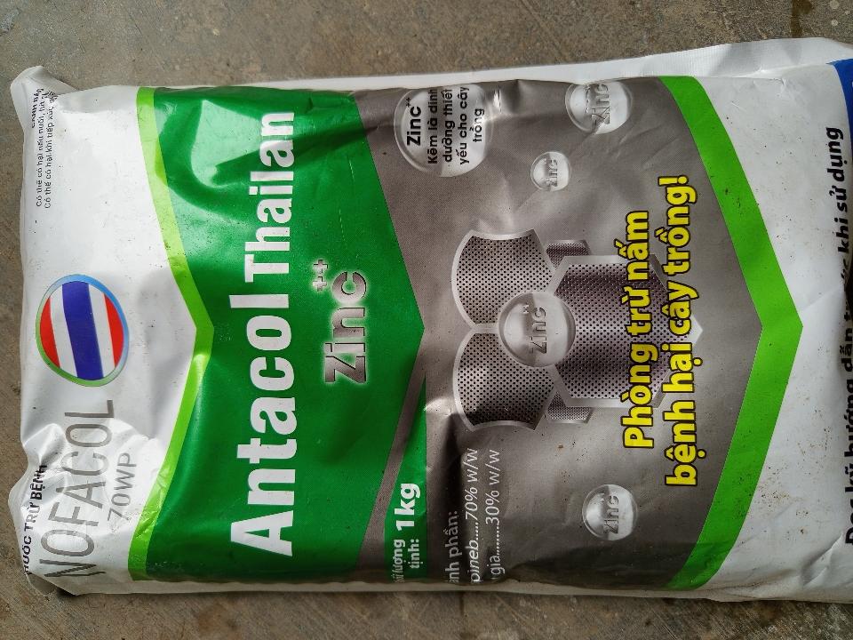 Thuốc trừ bệnh NOFACOL 70 WP hiệu Antacol Thailan-duoc-ban-tai-ĐẠI LÝ VTNN ĐÌNH THANH