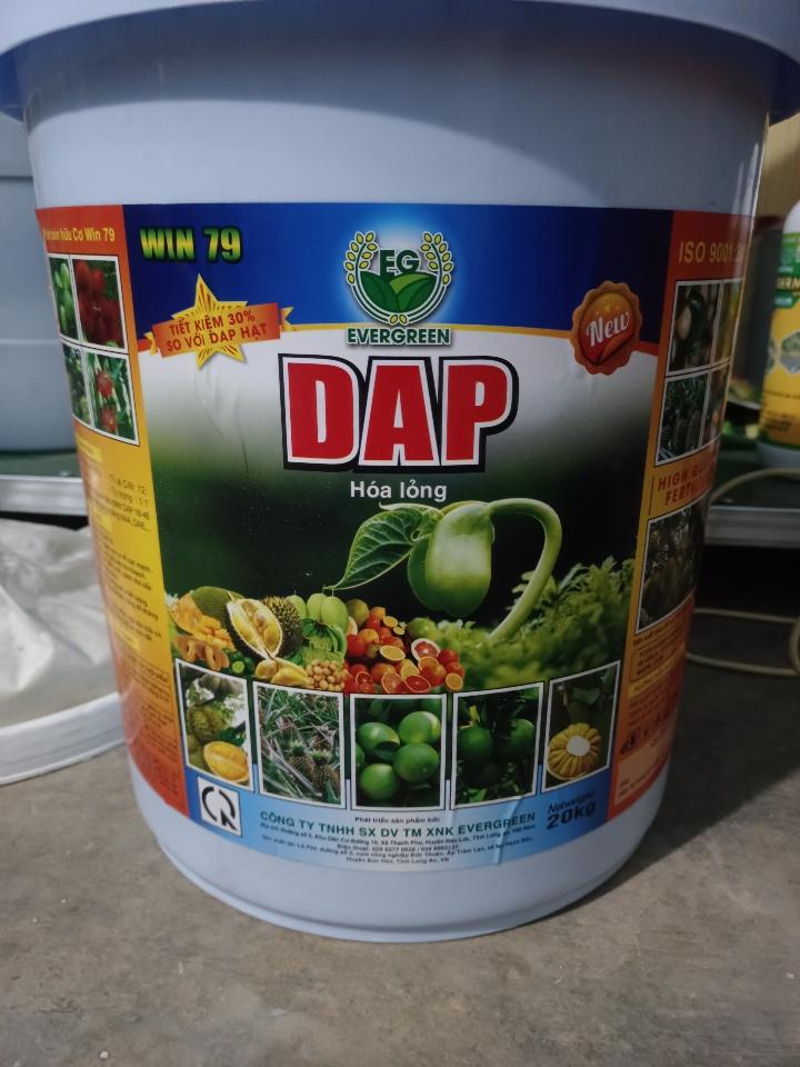 Phân bón hữu cơ DAP ( Dạng nước)-duoc-ban-tai-ĐẠI LÝ VTNN ĐÌNH THANH