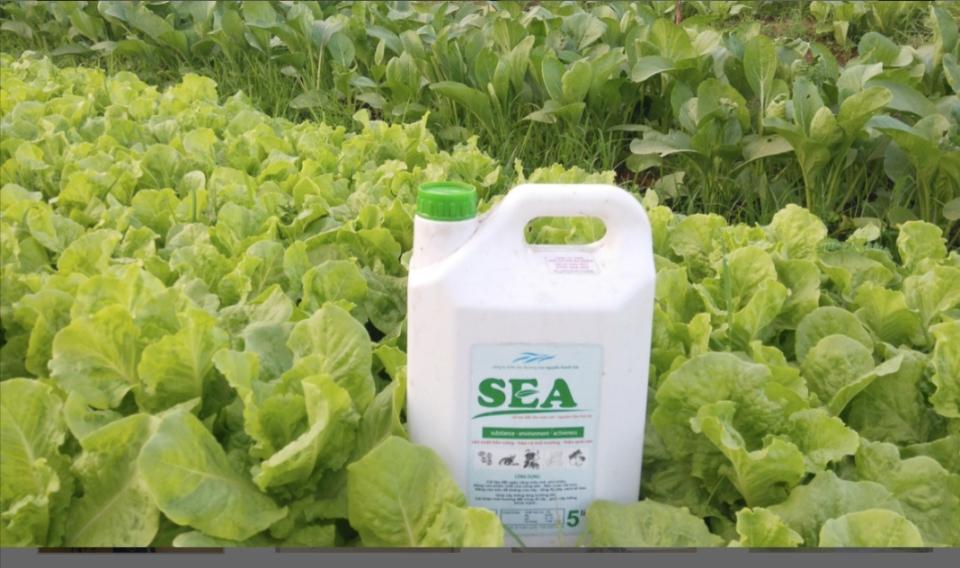 Chất cải tạo đất SEA 5 LÍT -duoc-ban-tai-ĐẠI LÝ VTNN ĐÌNH THANH
