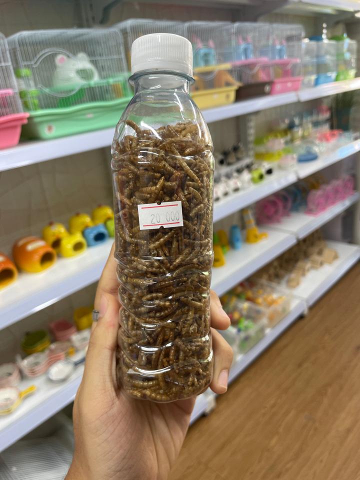 Sâu rồng rang dành cho Hams - chai-duoc-ban-tai-Gạo Pet Shop