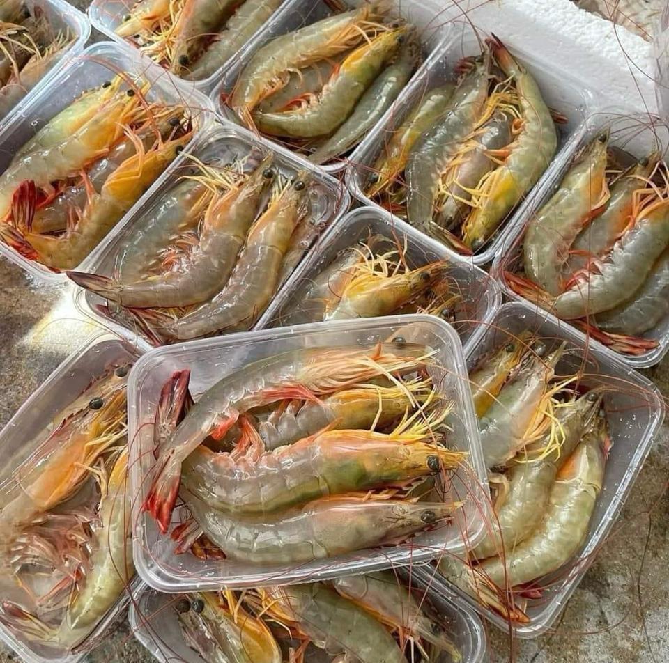 Tôm he-duoc-ban-tai-Trang Anh Food
