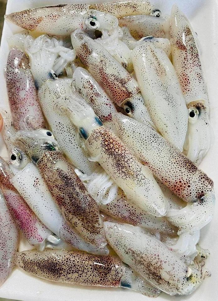 Mực tép nháy-duoc-ban-tai-Trang Anh Food