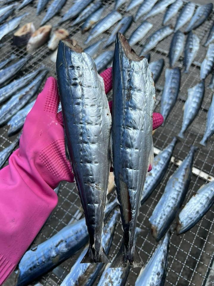 Cá thu nguyên con-duoc-ban-tai-Trang Anh Food