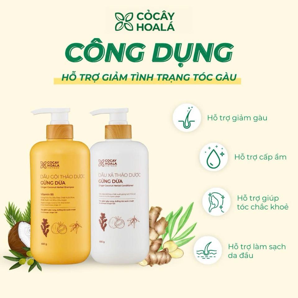 Combo Gội xả Gừng Dừa 650gr-duoc-ban-tai-Showrooms Sống Xanh