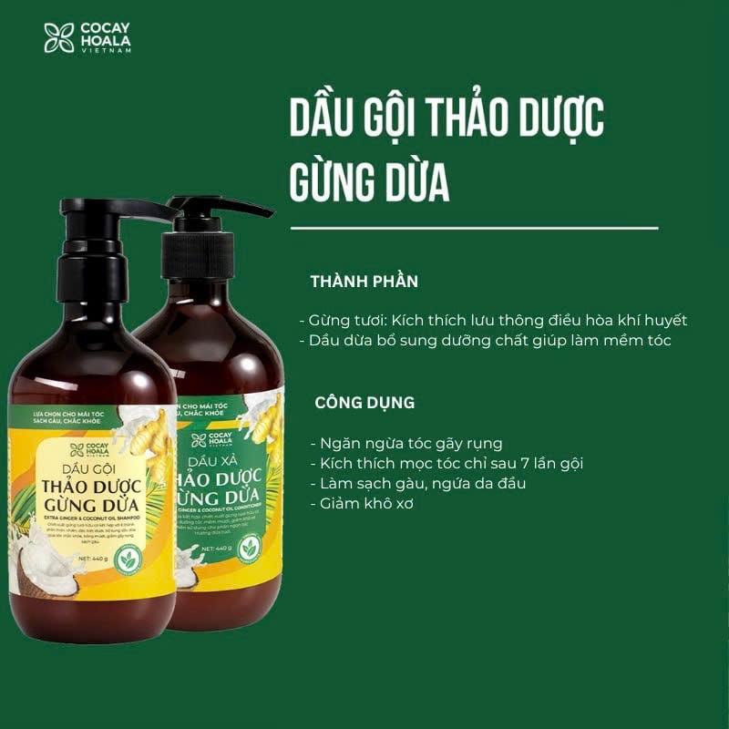 Combo Gội xả Gừng Dừa 440gr-duoc-ban-tai-Showrooms Sống Xanh