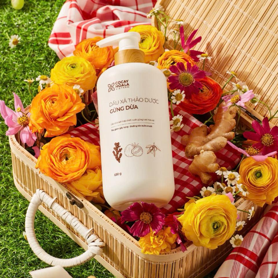 Combo Gội xả Gừng Dừa 650gr-duoc-ban-tai-Showrooms Sống Xanh