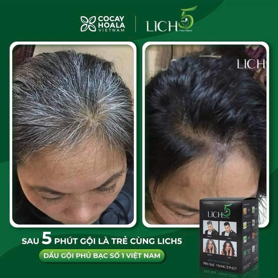 Lich5 Phủ bạc Nâu - Đen-duoc-ban-tai-Showrooms Sống Xanh
