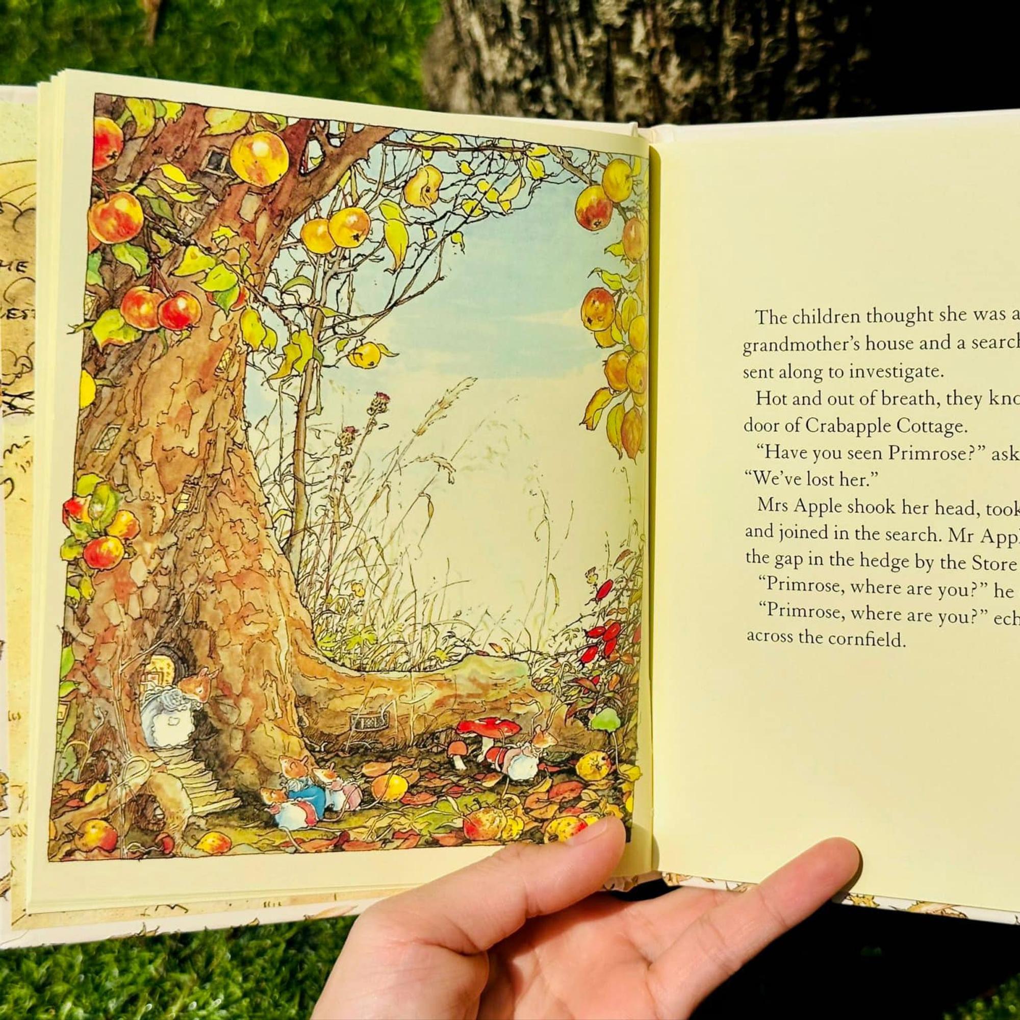 Miền dâu dại - Sách nhập bản tiếng anh - brambly hedge-duoc-ban-tai-Homeschooling - Ha Vu