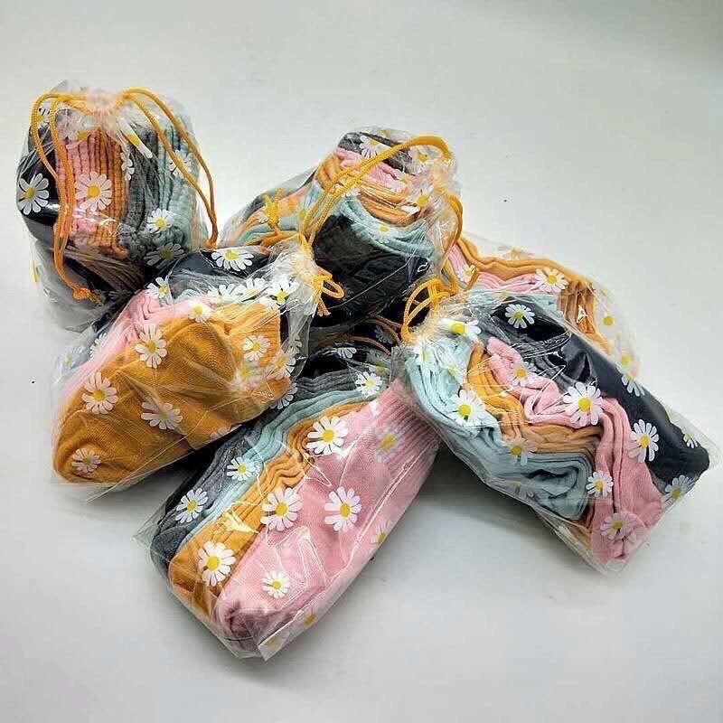 Tất hao cúc-duoc-ban-tai-Tâm botique