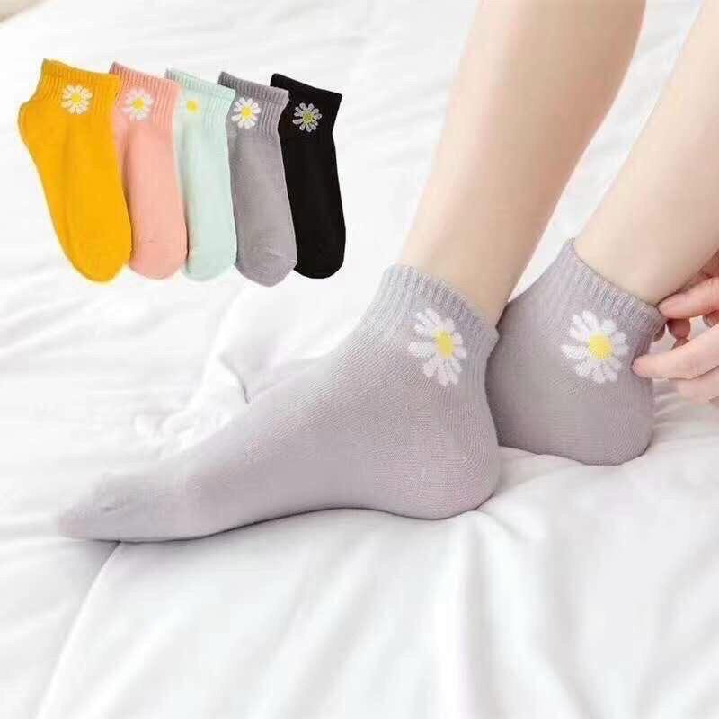 Tất hao cúc-duoc-ban-tai-Tâm botique