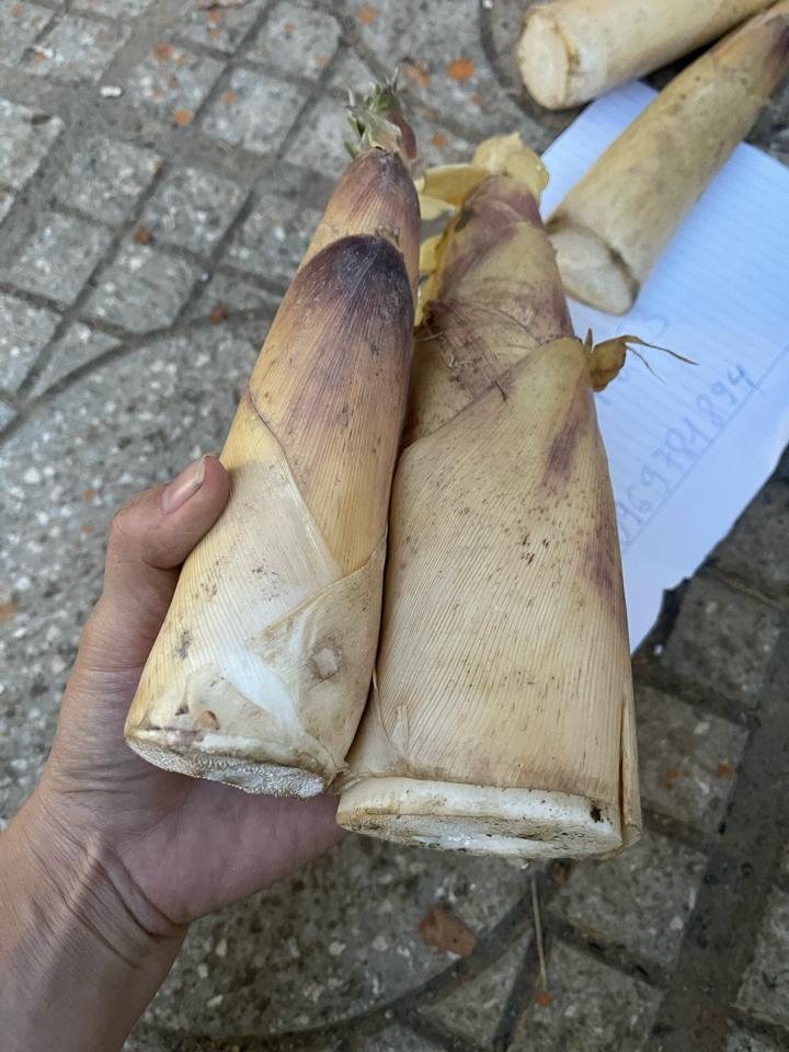 Măng -duoc-ban-tai-Tâm botique