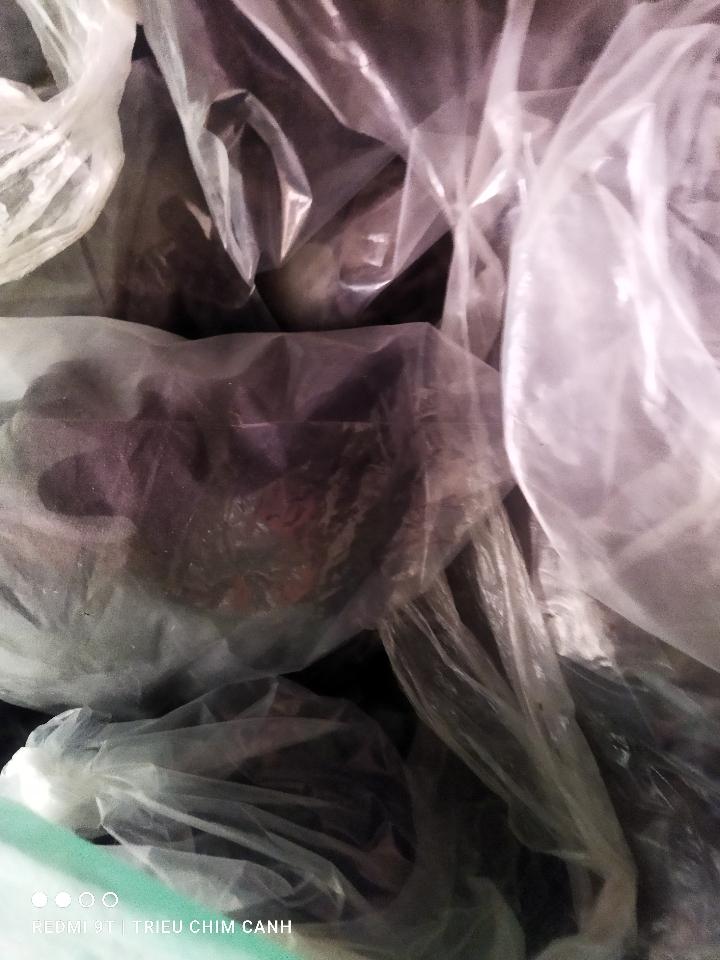 Áo lồng 2 kéo vuông-duoc-ban-tai-Triều Chim Cảnh - Shop Đồ Câu Tam An