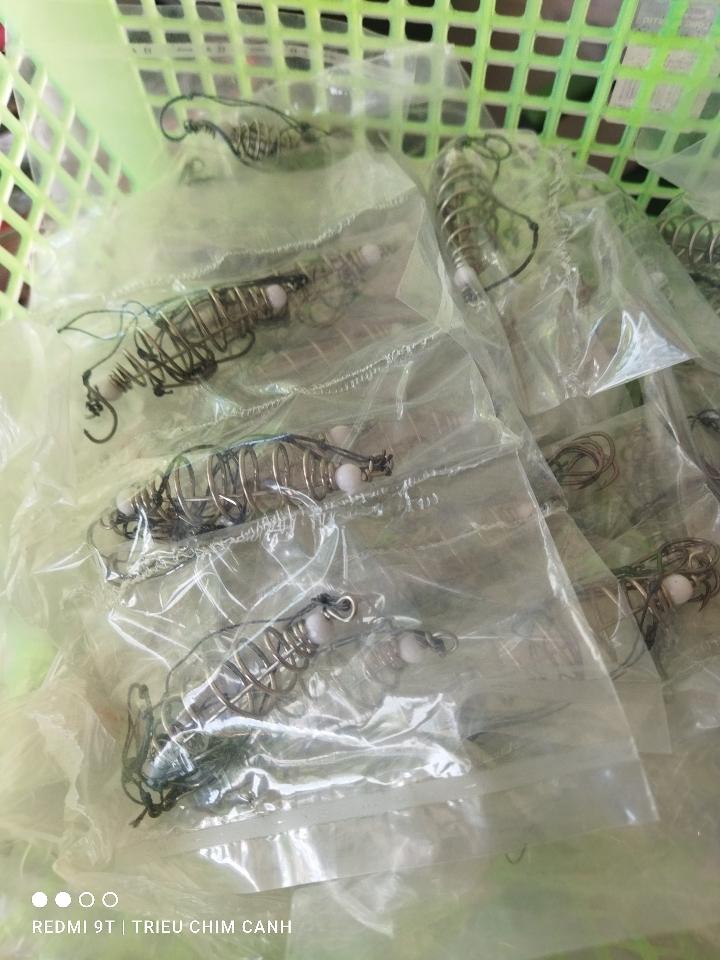 Lăng xê-duoc-ban-tai-Triều Chim Cảnh - Shop Đồ Câu Tam An