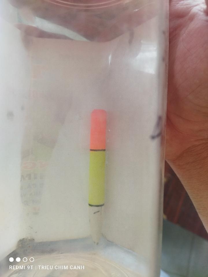 Phao sốp nhỏ-duoc-ban-tai-Triều Chim Cảnh - Shop Đồ Câu Tam An