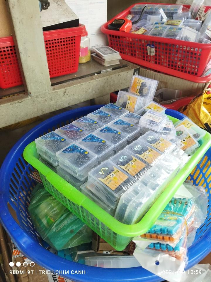 Lưỡi xanh rẻ -duoc-ban-tai-Triều Chim Cảnh - Shop Đồ Câu Tam An