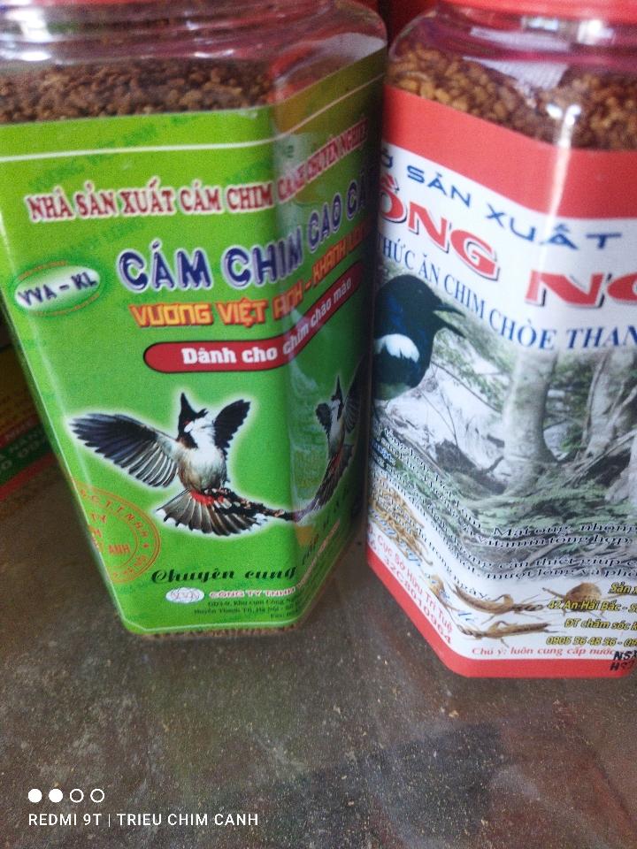 Hồng ngân -duoc-ban-tai-Triều Chim Cảnh - Shop Đồ Câu Tam An