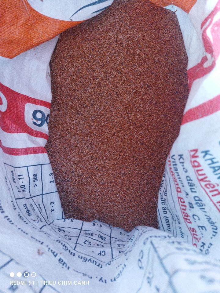 Kê hạt trắng-duoc-ban-tai-Triều Chim Cảnh - Shop Đồ Câu Tam An