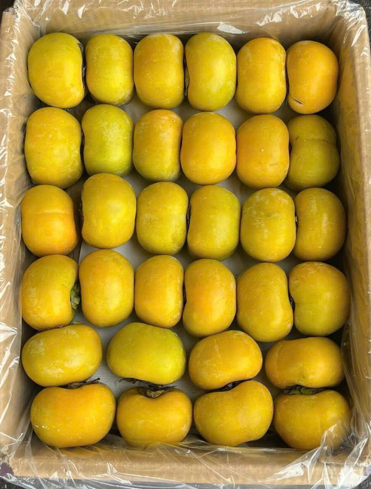 Hồng  giòn thùng giấy-duoc-ban-tai-KHO SỈ  LÂM ANH