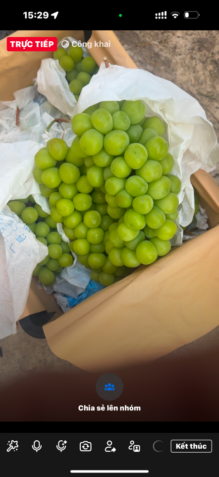 Nho mẫu đơn 10kg-duoc-ban-tai-KHO SỈ  LÂM ANH