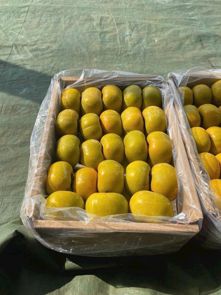 Hồng  giòn thùng giấy-duoc-ban-tai-KHO SỈ  LÂM ANH