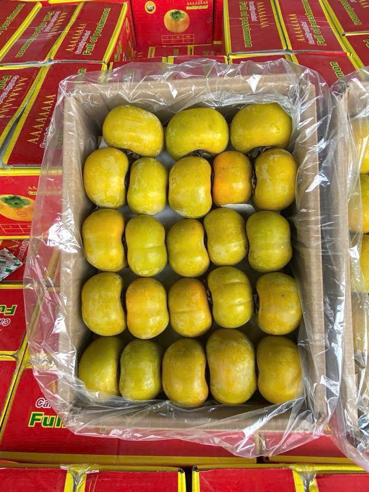 Hồng  giòn thùng giấy-duoc-ban-tai-KHO SỈ  LÂM ANH