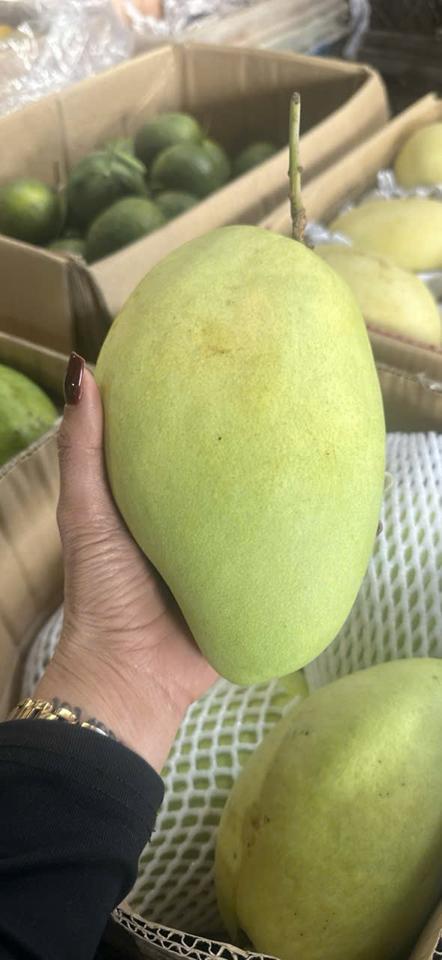 Xoài  tứ  quý VIP siêu thị-duoc-ban-tai-KHO SỈ  LÂM ANH