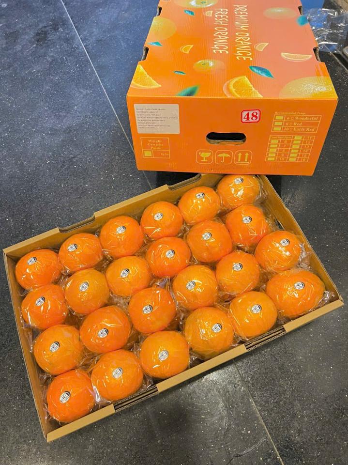 Cam kiếng  thùng  vàng (seri48)-duoc-ban-tai-KHO SỈ  LÂM ANH