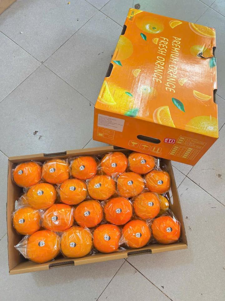 Cam kiếng  thùng  vàng (seri48)-duoc-ban-tai-KHO SỈ  LÂM ANH