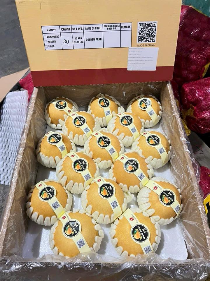 Lê Hàn (em bé )-duoc-ban-tai-KHO SỈ  LÂM ANH