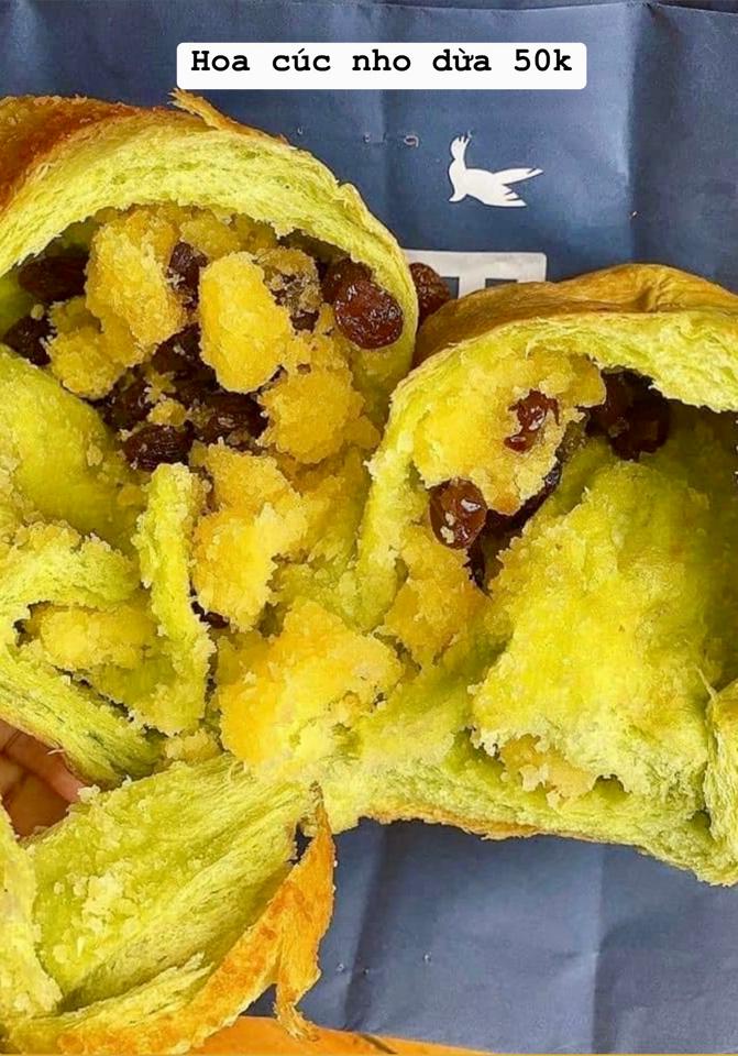 Hoa cúc nho dừa-duoc-ban-tai-0971888337