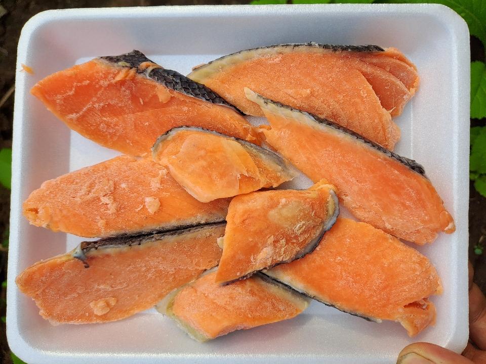 Thịt Cá hồi-duoc-ban-tai-Cá hồi