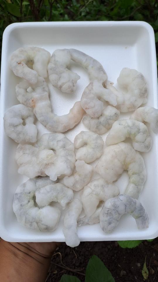 Nỏn Tôm-duoc-ban-tai-Cá hồi