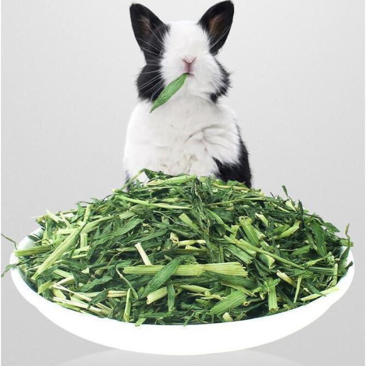 Cỏ lúa mạch sấy cắt khúc-250gr-duoc-ban-tai-Thỏ Mập Farm