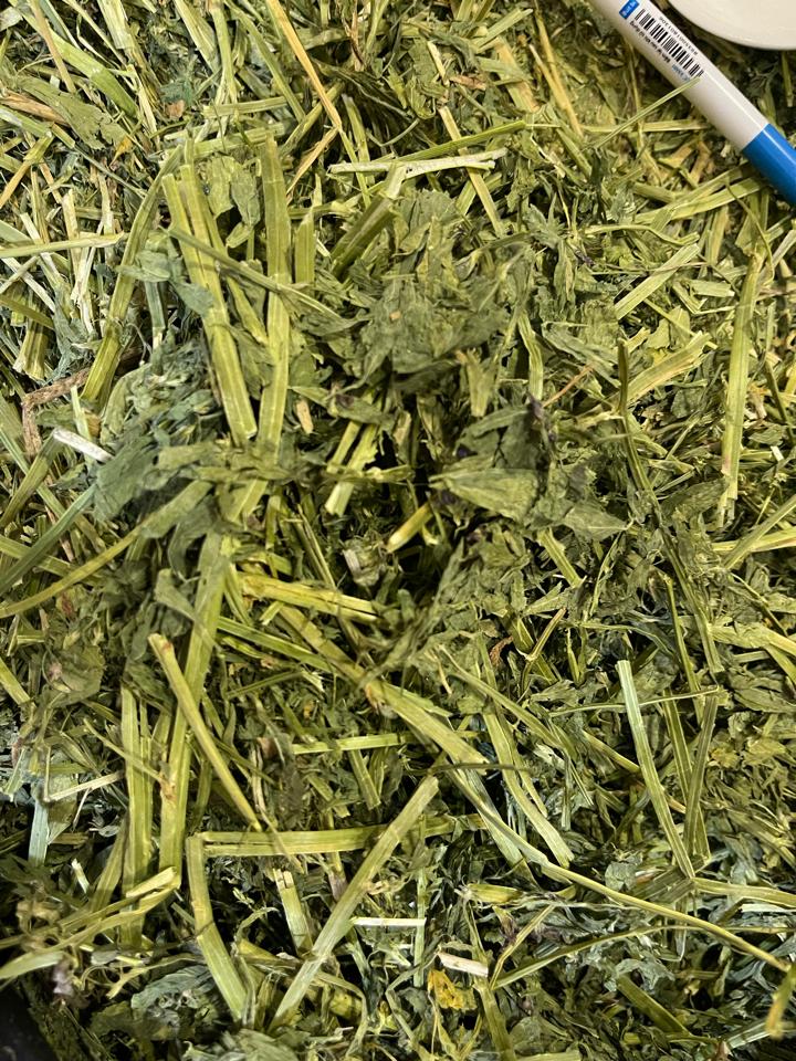 Cỏ alfalfa kiện-duoc-ban-tai-Thỏ Mập Farm
