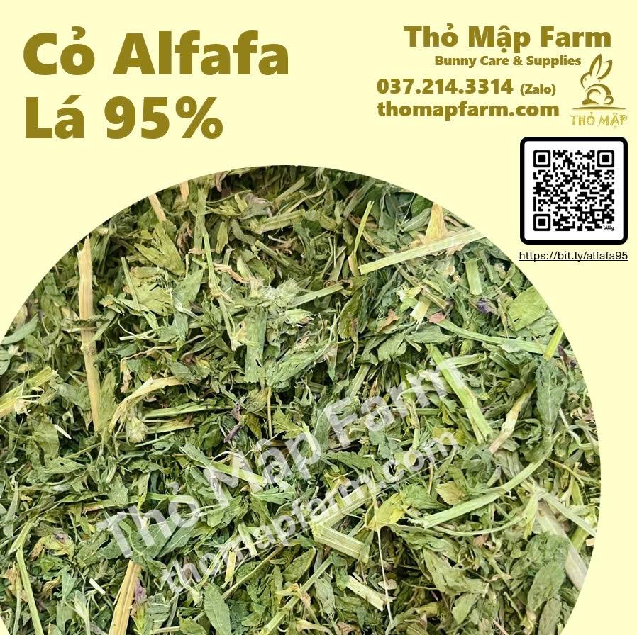 Alfafa lá 95%-500gram-duoc-ban-tai-Thỏ Mập Farm
