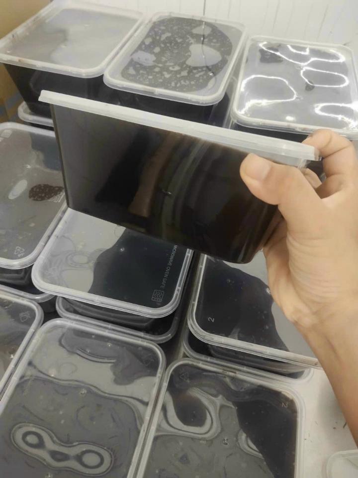 Khóa dạy nghề Thạch đen Sương Sáo-duoc-ban-tai-Sương Sâm Tâm Việt