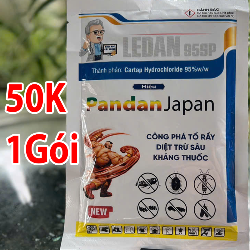 PADANG NHẬT-duoc-ban-tai-VTNN A Mùi