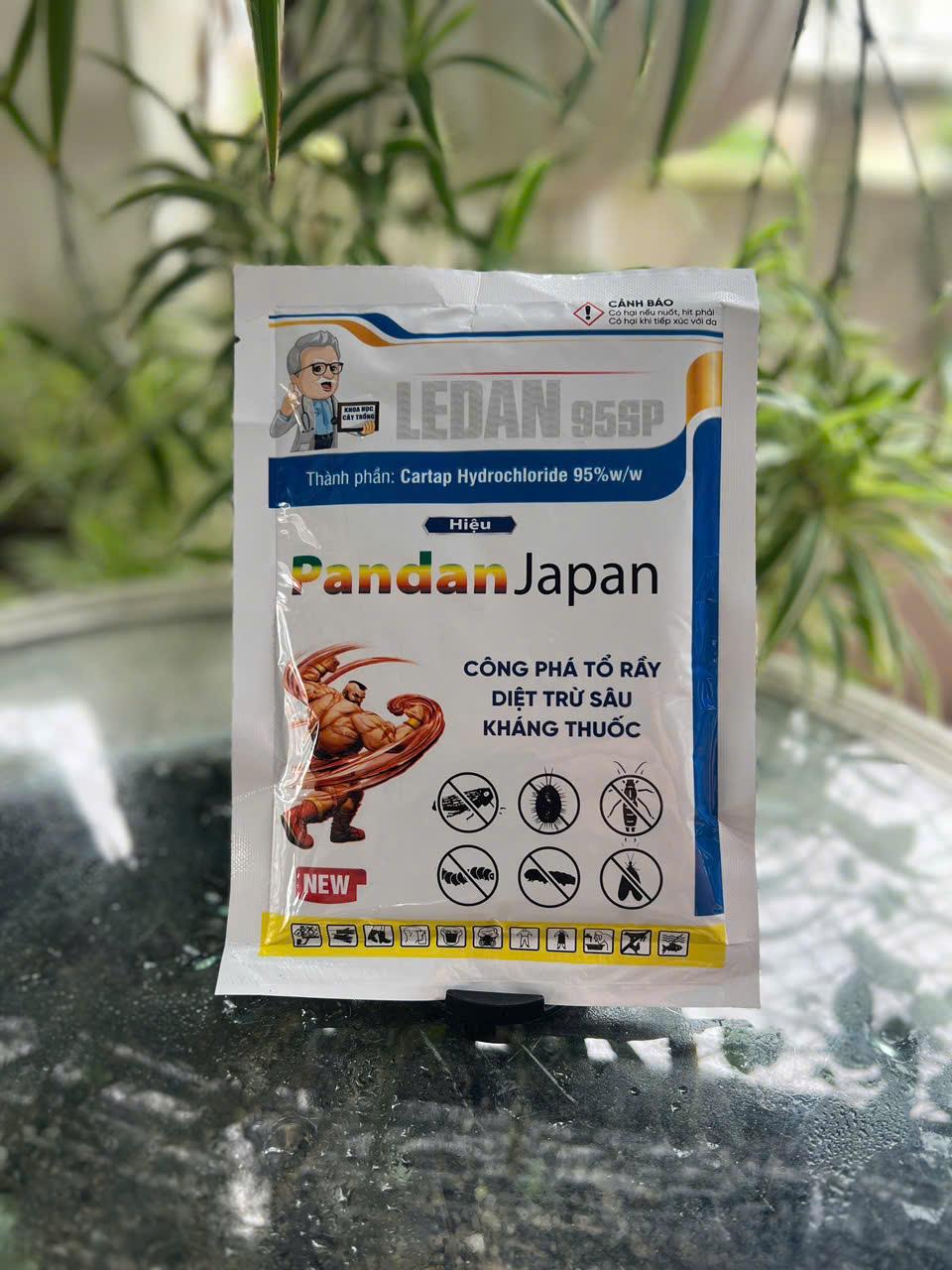 PADANG NHẬT-duoc-ban-tai-VTNN A Mùi