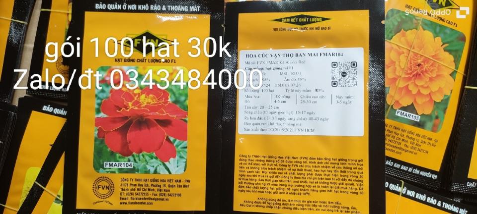 BAN MAI FVN 104-duoc-ban-tai-SHOP HẠT GIỐNG HOA