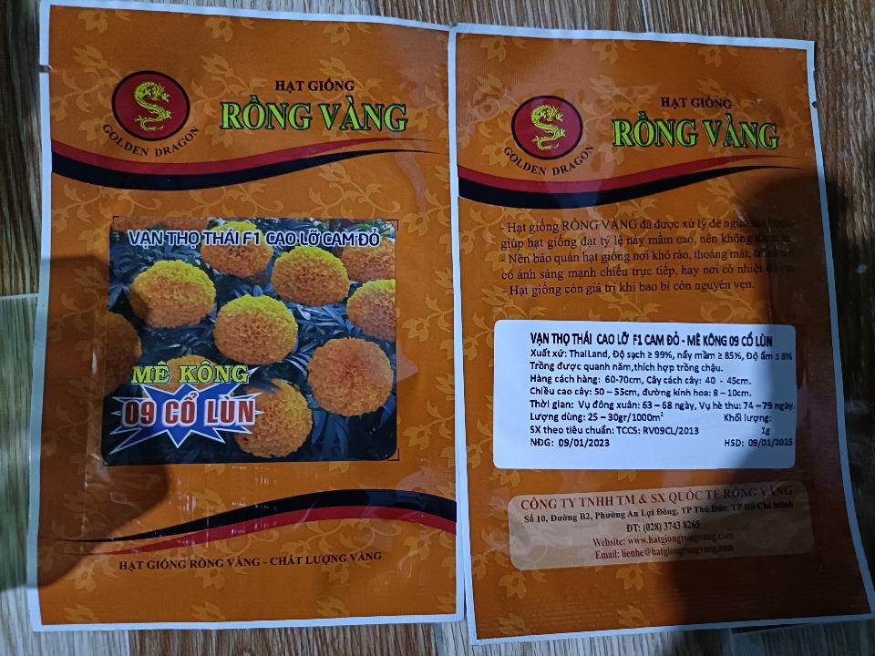 09 cổ lùn-duoc-ban-tai-SHOP HẠT GIỐNG HOA