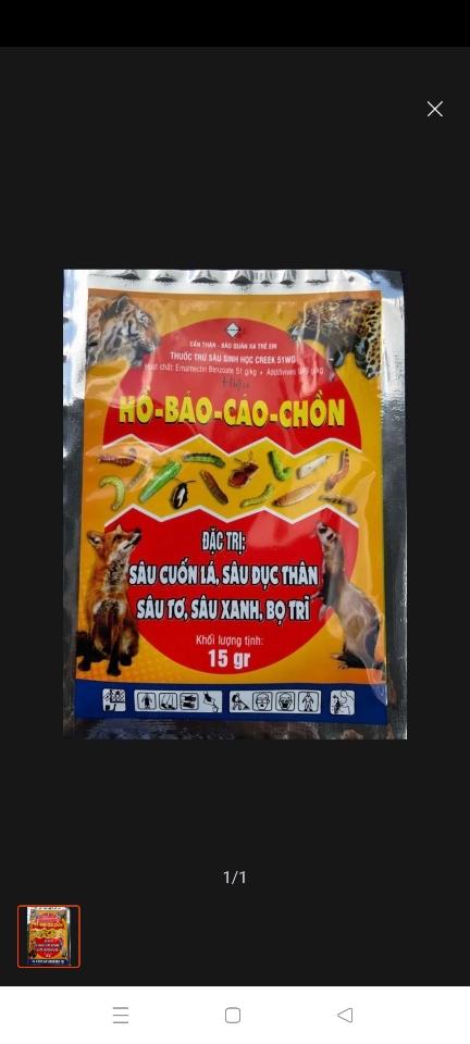 Hổ báo cáo chồn -duoc-ban-tai-SHOP HẠT GIỐNG HOA