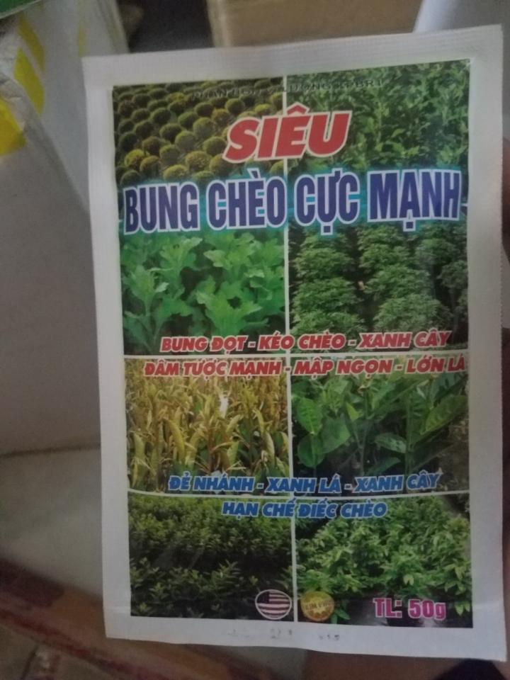 Siêu bung chèo cực mạnh -duoc-ban-tai-SHOP HẠT GIỐNG HOA