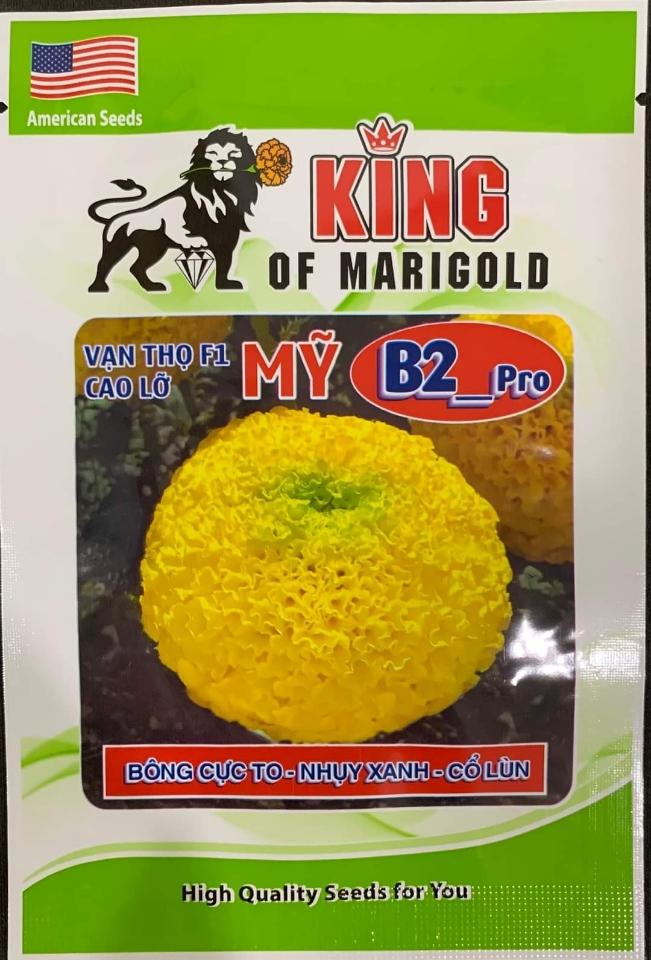 KING B2- PRO-duoc-ban-tai-SHOP HẠT GIỐNG HOA
