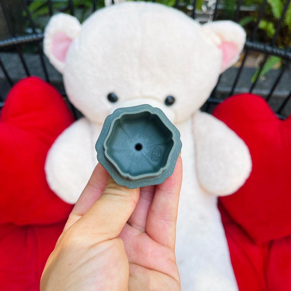 Ấm Sơn Thuỷ Thi Xương-duoc-ban-tai-Cộng Đồng Luxury Nguyễn VănAnh