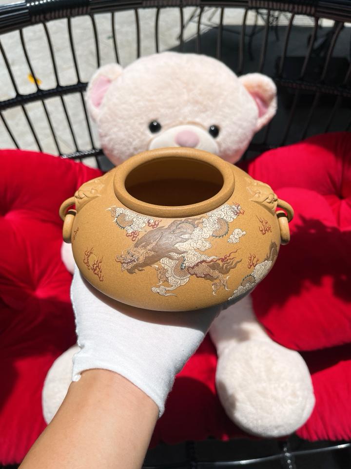 Ang Rồng Toàn Linh-duoc-ban-tai-Cộng Đồng Luxury Nguyễn VănAnh